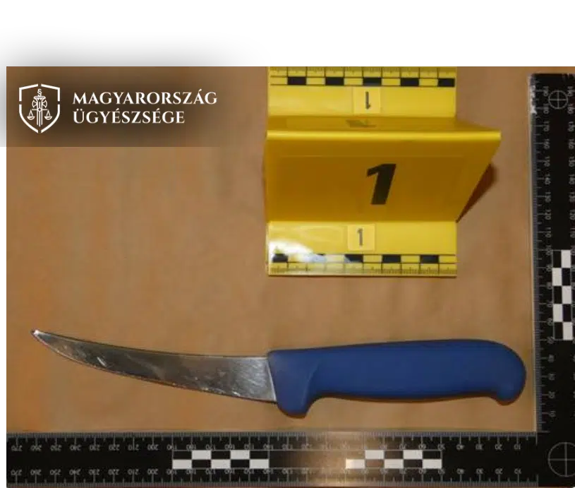 Élettársát szúrta hasba egy érdi nő