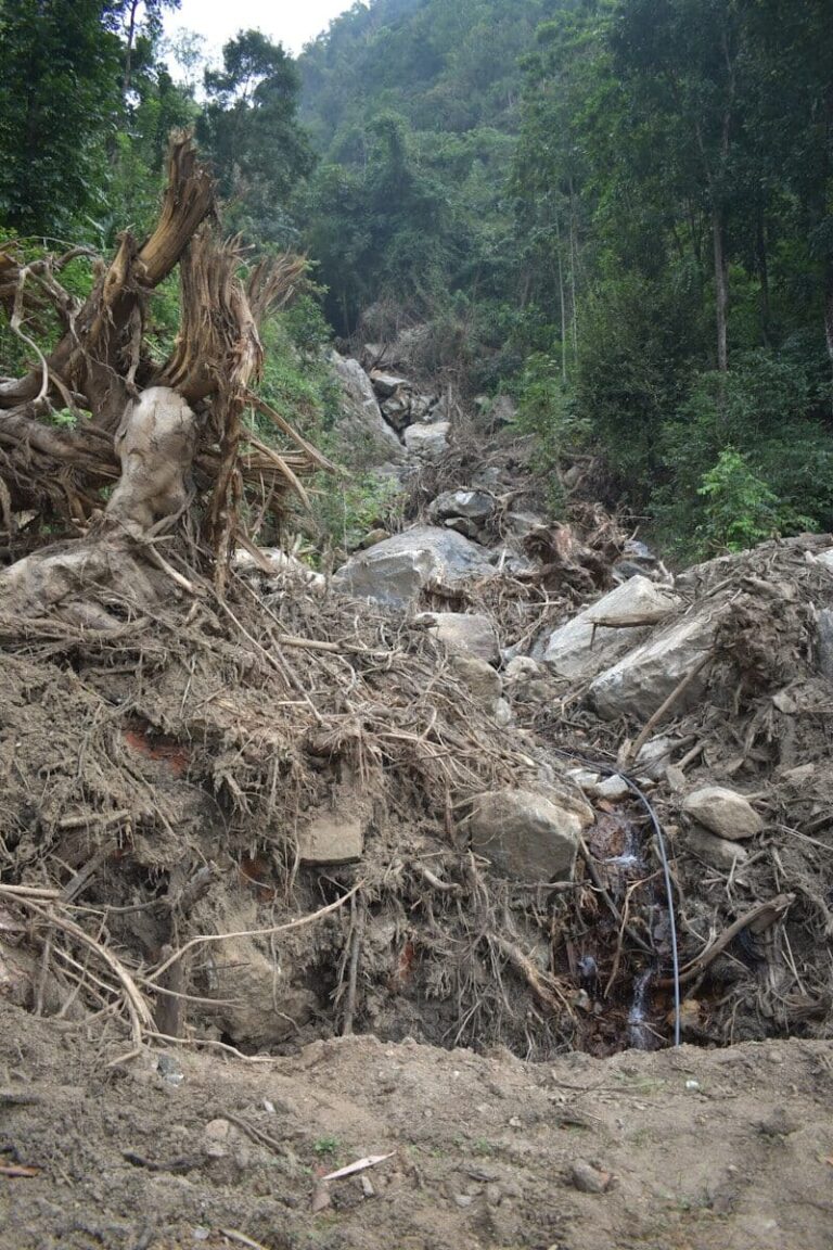 Mud, rocks, and uprooted trees from a forest landslide