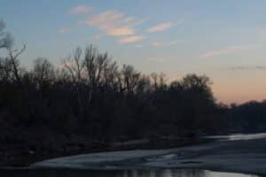 A body of water with trees in the background