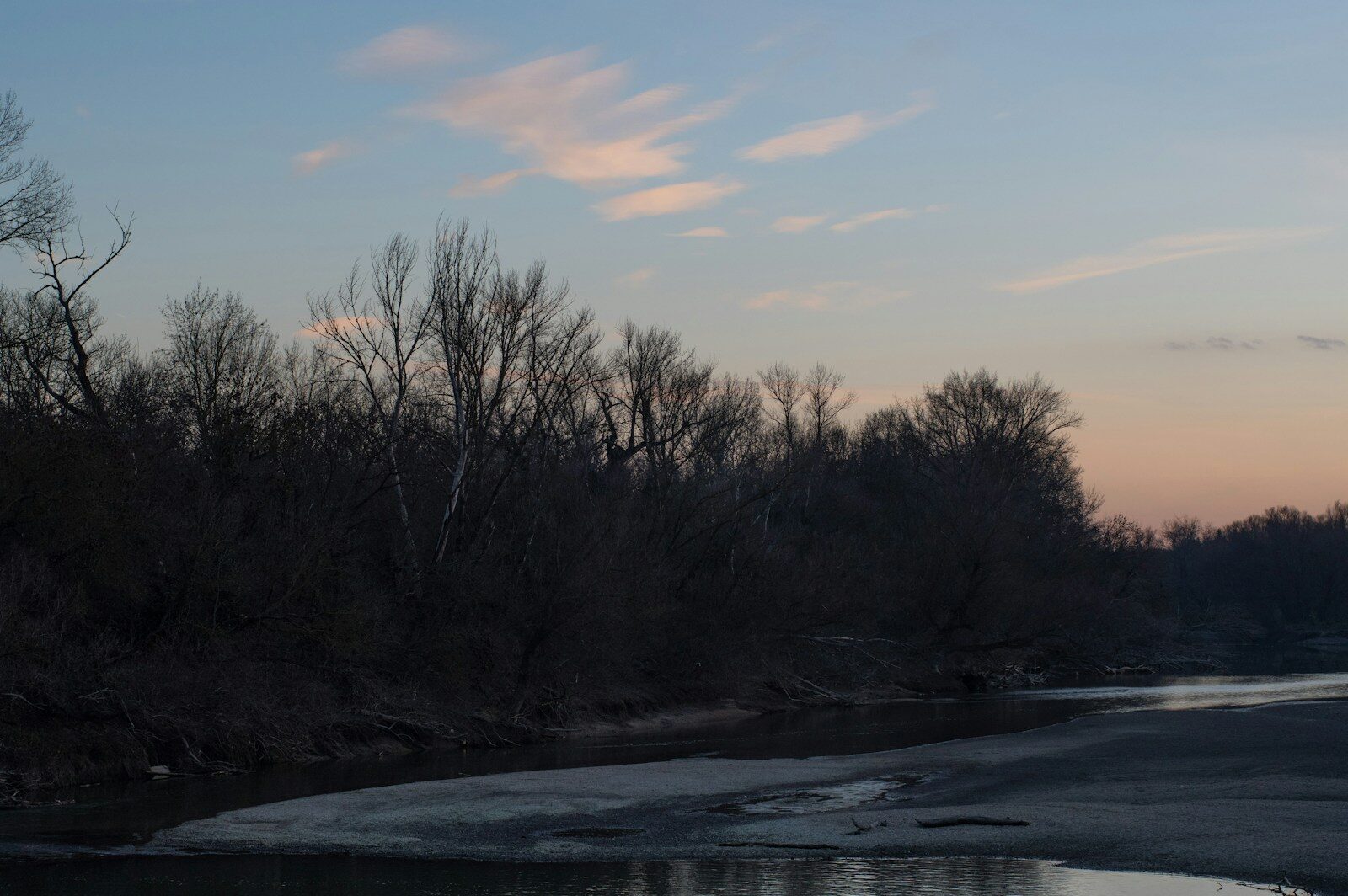 A body of water with trees in the background