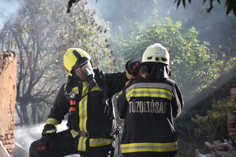 Épületek égtek Somogysárdon