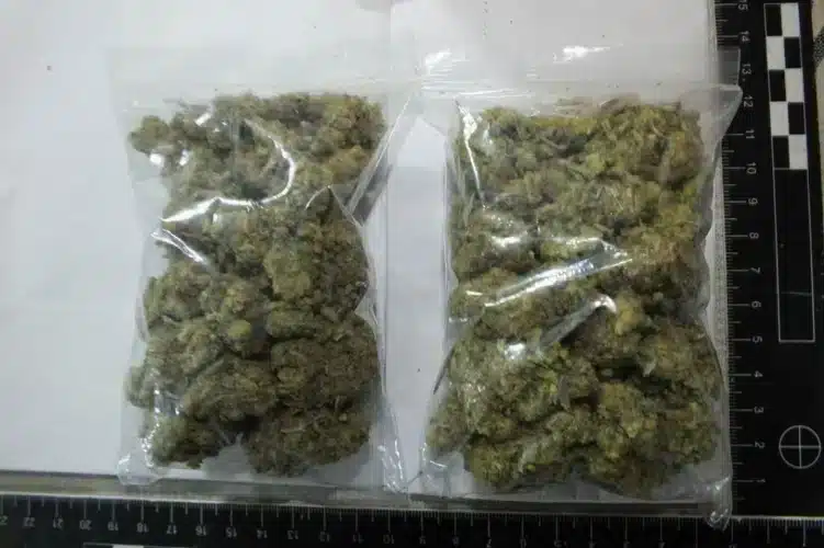lefoglalt cannabisz