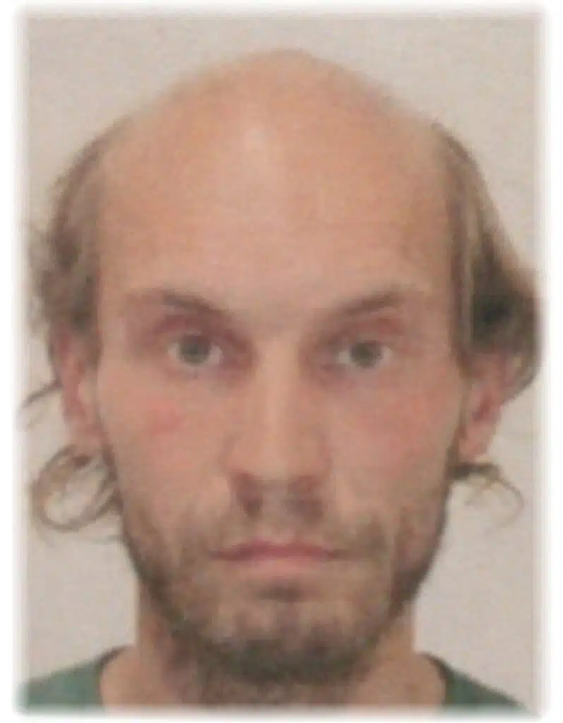 GRÉCZI DÁVID